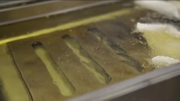 Profesyonel bir restoranın mutfağında kızartma tabakları için kızartma makinesi kaynıyor ve kaynıyor.. — Stok video