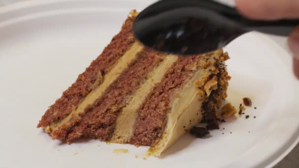 Schokoladenkuchen essen. Mit einem Löffel einen feuchten, köstlichen Schokoladenkuchen nehmen. — Stockvideo