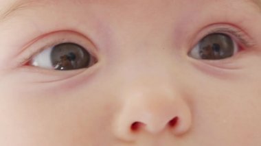 Kameraya bakan komik küçük bir kızın portresi, kameraya bakan sevimli bebek yüzü.