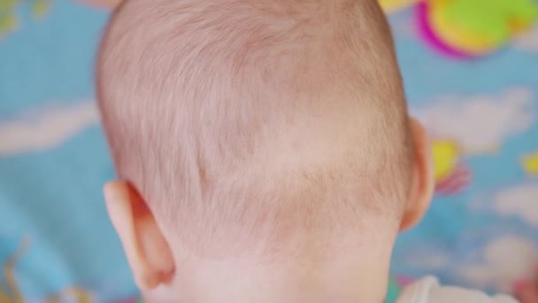 Vista desde atrás, pequeño bebé. Falta de pelo en los bebés en la parte posterior de la cabeza. — Vídeos de Stock
