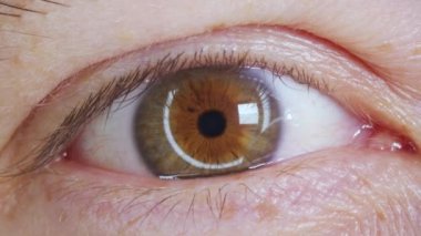İnsanın gözlerini açtığı aşırı yakın plan. Güzel mavi göz ve retina. Beyaz erkek model, mavi, yeşil, gri gözlü kameraya bakıyor..