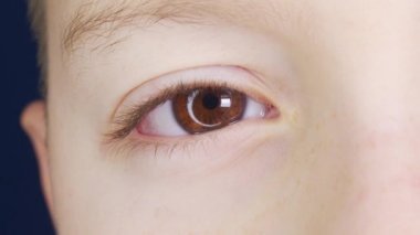 Kahverengi Göz, Kameraya Yakından Bakıyor. Macro shot Açılışı ve Kapanış Kahverengi Gözlü Küçük Çocuk. Çocukların Gözlerinin Hareketini Kapat. İnsan gözü yuvası açılıyor..