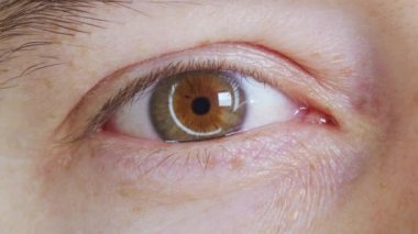İnsanın gözlerini açtığı aşırı yakın plan. Güzel mavi göz ve retina. Beyaz erkek model, mavi, yeşil, gri gözlü kameraya bakıyor..