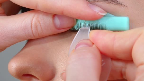 Rostro de una joven en un moderno procedimiento de laminación de pestañas en un salón de belleza profesional. Maestro aplicar pintura de tinte negro a las pestañas durante el procedimiento de rizado de pestañas con un cepillo especial. — Vídeo de stock