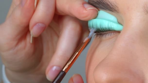 Face of a young girl in a modern eyelash lamination procedure in a professional beauty salon. Master apply black dye paint to the eyelashes during the eyelash curling procedure with a special brush. — Stock Video