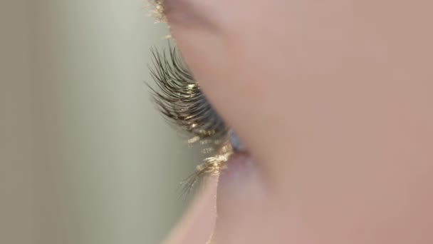 Ojo femenino con bellas pestañas. — Vídeos de Stock