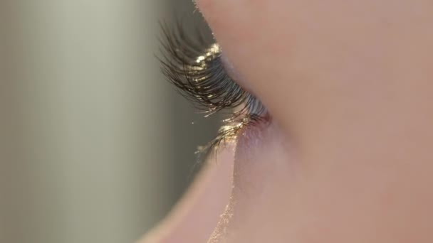 Olho feminino com lindas pestanas. — Vídeo de Stock