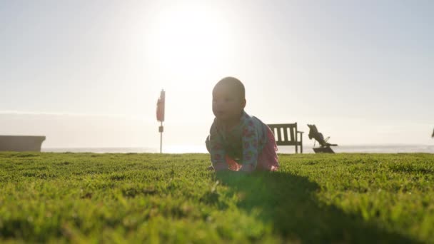 Il bambino felice striscia nell'erba. La bambina striscia rapidamente durante i giochi all'aperto al tramonto. — Video Stock