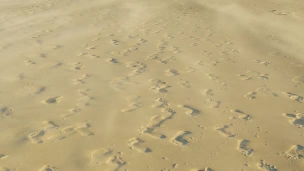 Αραβική έρημος αργή κίνηση αμμόλοφους που φυσά στον άνεμο κατά τη διάρκεια μιας αμμοθύελλας. Θαλάσσια ακτή. — Αρχείο Βίντεο