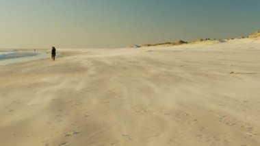 Arap çölünde kum fırtınası sırasında rüzgarda esen kum tepecikleri. Okyanus kıyısı.