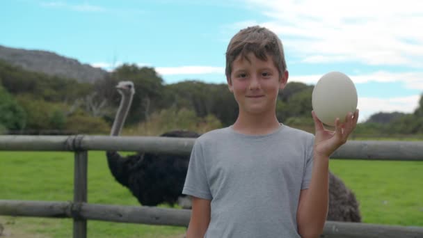 Boy holding ostrich egg at ostrich farm. — Stock Video