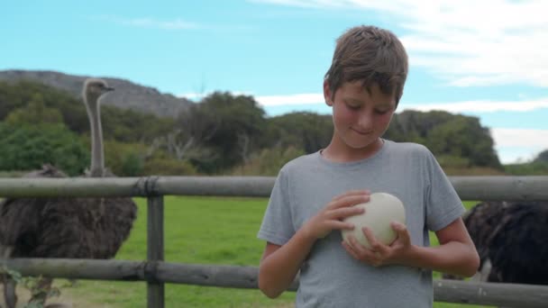 Jongen met struisvogeleieren op struisvogelboerderij. — Stockvideo