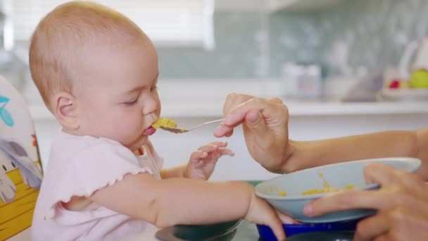 Vrouw die het kind voedt met een lepel. Mam voedt de baby met gepureerd voedsel. Moeder voeden kind in baby stoel. — Stockvideo