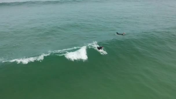 Luchtfoto: mannelijke surfer vangt en rijdt op een massieve weerkaatsende golven. Drone beelden van een surfer die balanceert op een grote surf golf. Extreme water sport. — Stockvideo