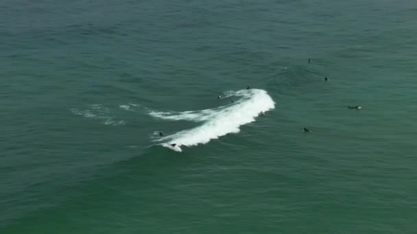 Filmati aerei di persone che navigano. Surfisti, studenti. — Video Stock