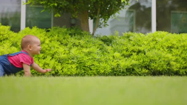 마당 잔디에 누워 있는 재미있는 아기 돌팔이 소녀. — 비디오
