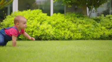 Arka bahçede emekleyen bebek otlayan komik kız..