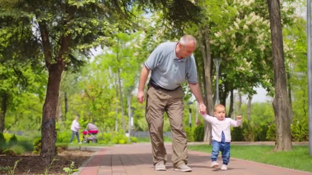 Farfar håller babyhänder hjälper till att göra de första stegen, familjestöd, härlig relation. — Stockvideo