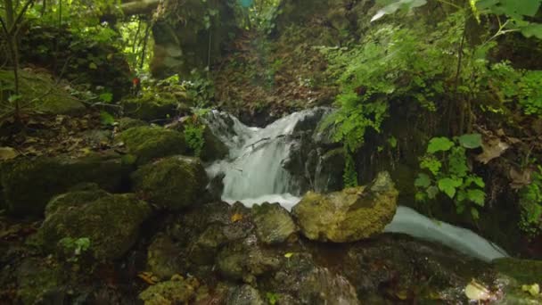 Maravillosos rápidos de agua dulce cascadas río que fluye. — Vídeo de stock