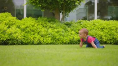 Parktaki Çimlerde Sürünen Şirin Küçük Bebek. Mutlu Çocukluk ve Çocuk Gelişimi Konsepti.