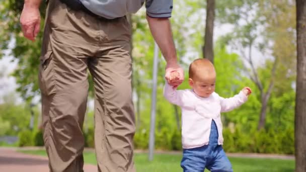Bebek dışarıda yürümeyi öğreniyor. Dedem torununa yürümeyi öğretiyor. Bebek ilk adımı atıyor.. — Stok video