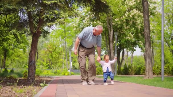 El bebé aprende a caminar al aire libre. El abuelo apoya a su nieta enseñando a caminar. bebé niña da los primeros pasos. — Vídeo de stock