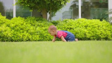 Arka bahçede emekleyen bebek otlayan komik kız..
