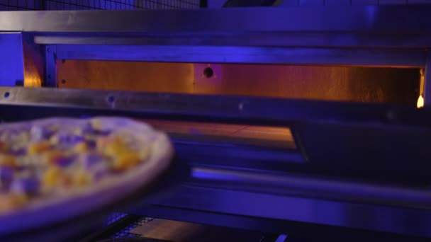 Primer plano del chef poniendo pizza para hornear en el horno en la cocina del restaurante. — Vídeos de Stock