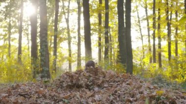 Sonbahar parkındaki mutlu zombi çocuk. Küçük çocuk sonbahar yürüyüşünde oynuyor. Altın yapraklı sonbahar ağaçları.