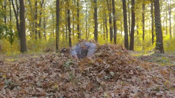 어린 소년 이 숲 속에서 가랑잎으로 뒹굴며. — 비디오