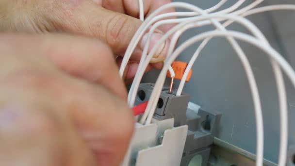 Closeup. Electricians hands testing current electric in control panel. Electrician engineer work tester measuring voltage and current of power electric line in electical cabinet control. — Stock Video