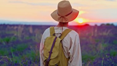 A girl tourist with a hat and a backpack walks through a lavender field during a beautiful sunset in Provence, France.