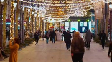 Paris, Fransa - 10 Aralık 2025: Champs Elysees Noel için aydınlatıldı. Kalabalıklar gece güzel şehirde geziniyor..