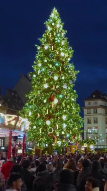 Strasbourg, Fransa - Aralık 01.2025: Akşam Strazburg 'daki Noel Pazarı. Kocaman bir Noel ağacı olan Kleber Meydanı. Dikey video.