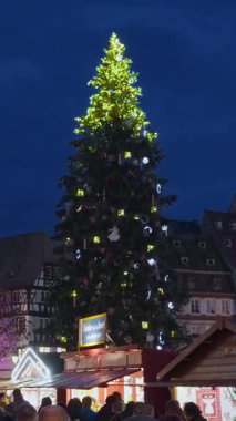 Strasbourg, Fransa - Aralık 01.2025: Akşam Strazburg 'daki Noel Pazarı. Kocaman bir Noel ağacı olan Kleber Meydanı. Dikey video.