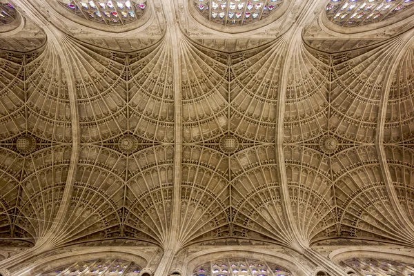 Потолок Кембриджского собора Стоковая Картинка
