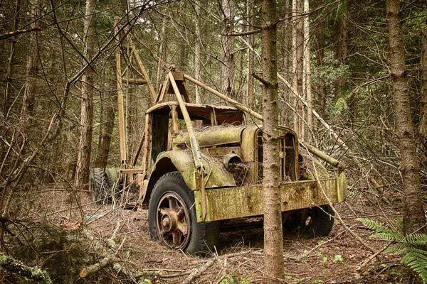 Camion de transport de déchets dans la forêt — Photo