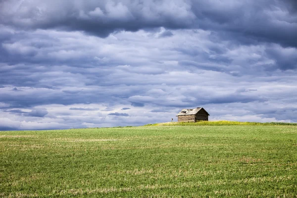 Palouse Fazenda Edifício e Campo — Fotografia de Stock