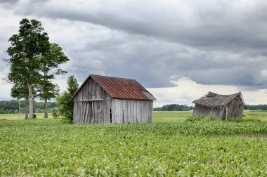 Two Farm Sheds In Ohio clipart