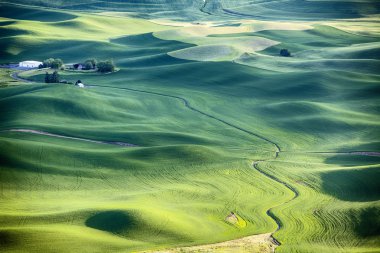 Mezőgazdasági táj, a Palouse