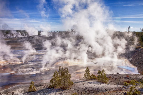 Ånga i Norris Geyser Basin — Stockfoto