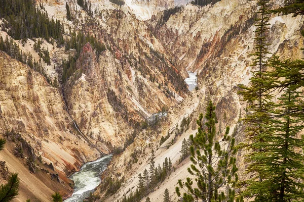 Grand Canyon i Yellowstone — Stockfoto