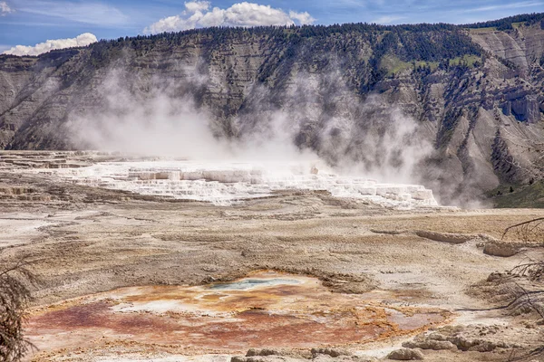 Kanári Springs a Mammoth Hot Springs Jogdíjmentes Stock Fotók