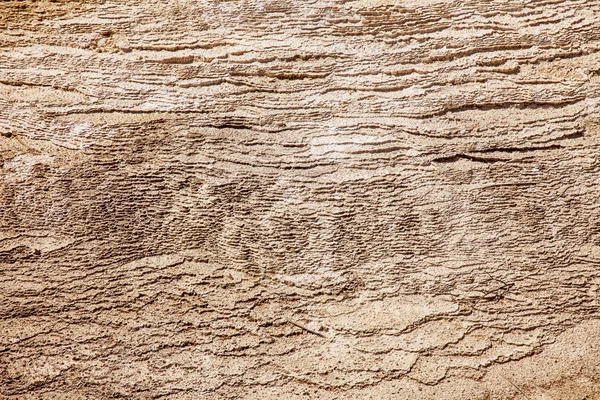 Texture With Layers of Calcium Carbonate — Stock Photo, Image