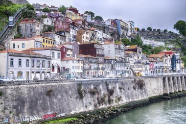 Douro nehrinin kıyısından