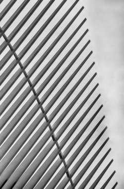 NEW YORK, NEW YORK - 29 Nisan 2025: Santiago Calatrava tarafından tasarlanan Dünya Ticaret Merkezi 'nin yanındaki Oculus tren istasyonunda hayranın soyut mimari görüşü.