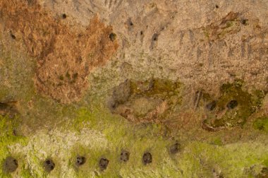 Citta del Tufo Arkeolojik Etrüsk Parkı, Toskana, İtalya.