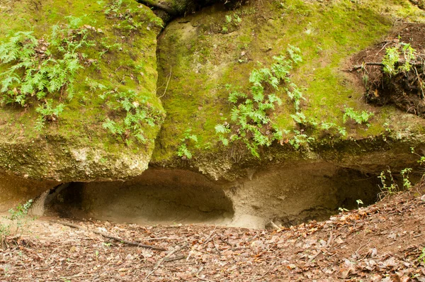 Citta Del Tufo Régészeti Etruscans Park Toszkána Olaszország — Stock Fotó