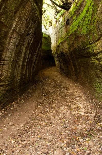 Vie Cave Etruszk Építészet Toszkána Olaszország — Stock Fotó