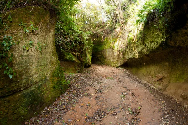 Vie Cave Etruscan Architecture Tuscany Italy — Stock Photo, Image